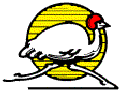 ARB Old Man Emu Suspension